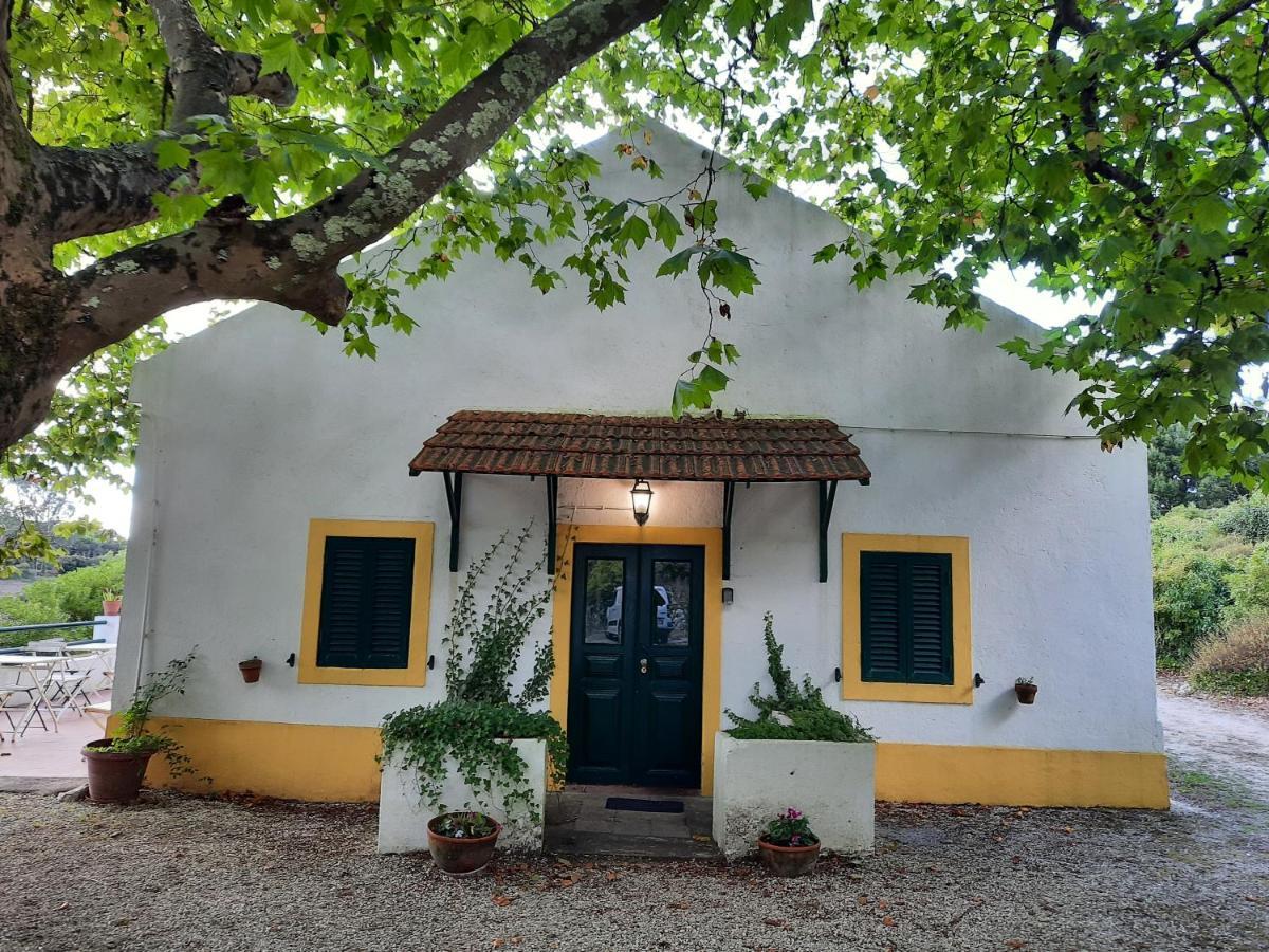 Montejunto Villas - Casa Do Platano Cadaval Exterior photo